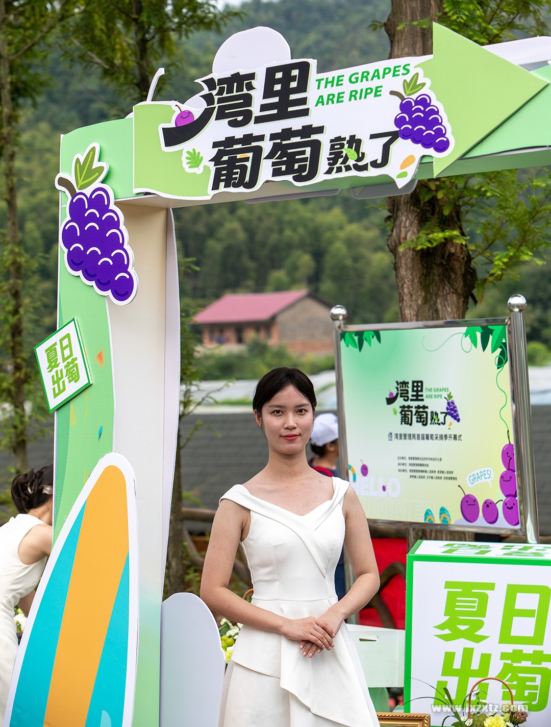《湾里的葡萄熟了》 邹爱国 摄 13970920820  (3).jpg